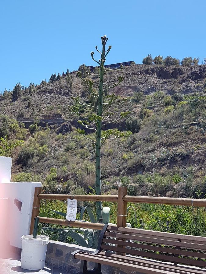 Casa Rural La Hoyita De Tunte San Bartolomé Екстериор снимка