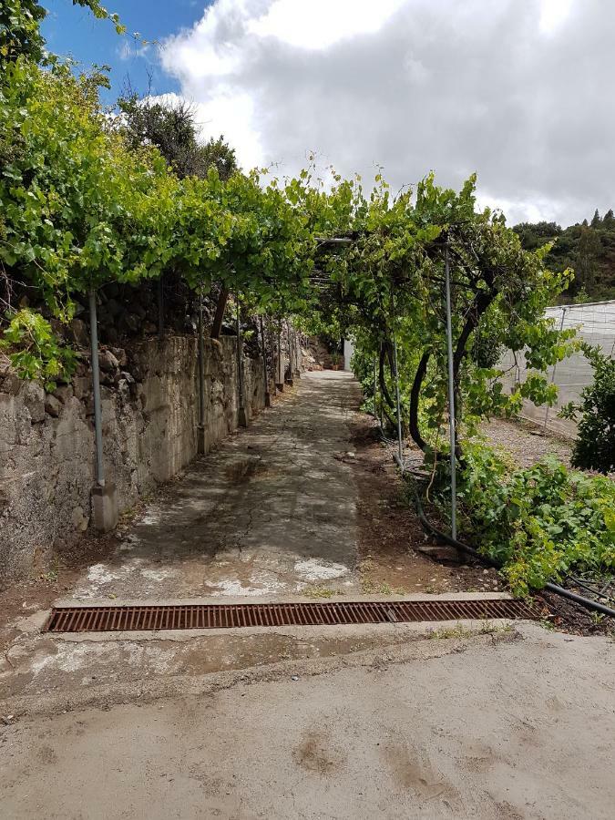 Casa Rural La Hoyita De Tunte San Bartolomé Екстериор снимка